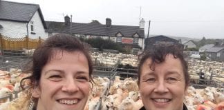 Police plea for rural crimes to be reported Miranda and Charlie