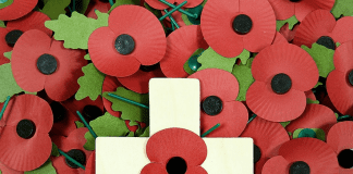Remembrance events Poppy Appeal