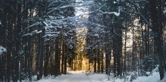 Winter Is Coming, Drivers Take Care Winter