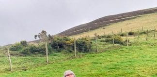 North Wales services lead Offa’s Dyke 150th birthday celebratory walk heather lacey and paige