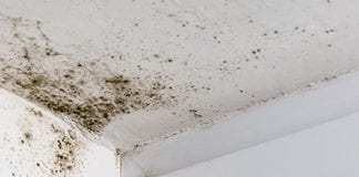 New guide offers top tips to prevent moisture in new-build home moisture in buildings min