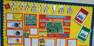 Ysgol Llanfarian count their way to regional victory for Ceredigion in Let’s Count! census competition Ysgol Llanfarian