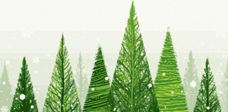 7.3 MILLION BRITS PLANNING A CARBON NEUTRAL CHRISTMAS carbon trees