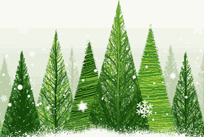 carbon trees