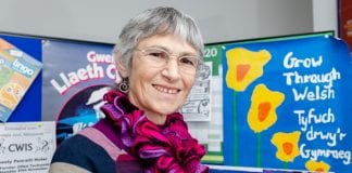 nspire! Tutor Award Winner – Philippa Gibson from Ceredigion / Press Release by Learning and Work Institute Philippa Gibson 04 scaled