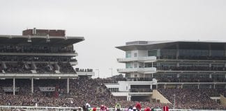 BoyleSports Day 4 Cheltenham Festival1 scaled