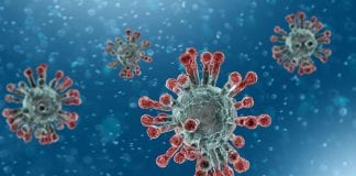 Statement released by Hywel Dda Health Board: Coronavirus Microscopic view