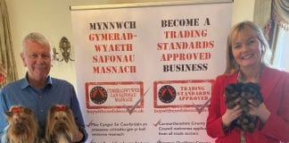 First dog breeder signs up to Buy With Confidence scheme knockingstone 13