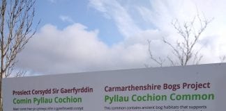 Pyllau Cochion 064fba87 1aec 4ee9 aa24 e74ec5630b20