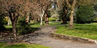 CORONAVIRUS: LGA RESPONDS TO MINISTER PARK CLOSURES GUIDANCE Park