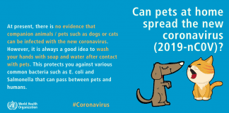 PETS and CORONAVIRUS (COVID-19) mythbuster 1