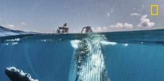 Amazing Places Await Thanks to These 10 Disney+ Shows nat geo 3