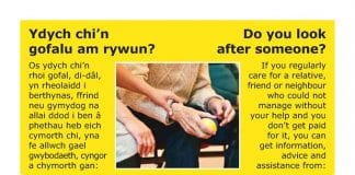 Carmarthenshire Carers Forum Jo Carer