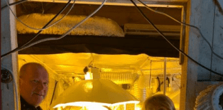 Cannabis cultivation worth £20,000 uncovered as a series of warrants are carried out in Carmarthen PC Simon Gibbard Jones and PCSO Helen Fender at a drugs warrant in Llangain