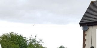 Llwynhendy & Pemberton Forum Volunteer wins award Tom Jones