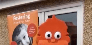 Join in the clap for Neath Port Talbot’s foster carers Ziggy475756565