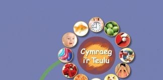 Support for children to use Welsh at home de clawr scaled