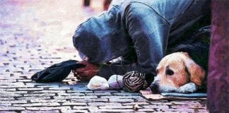 DCN RESPONDS TO HCLG COMMITTEE REPORT ON HOMELESSNESS AND ROUGH SLEEPING share 4998343 640