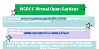Charity volunteers launch virtual open gardens event to help bridge NSPCC’s funding gap virtual open gardens guide