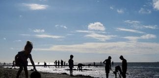 HEALTH PRECAUTIONS URGED BY COUNCILS TO COMBAT CORONAVIRUS IN HEATWAVE HEALTH PRECAUTIONS URGED BY COUNCILS TO COMBAT CORONAVIRUS IN HEATWAVE