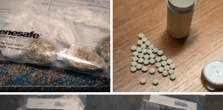 Drugs warrants in Llanelli Pottery Street warrant screen grabs