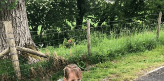 Family Fundraising After Charity Saves Toddler’s Life eviewalking1