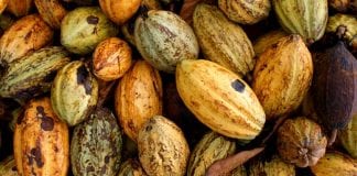Nestle decide KitKats are no longer to be Fairtrade / Nestle’n rhoi’r gorau i ddefnyddio cynnyrch Masnach Deg mewn Kit Kats fairtradekitkat1