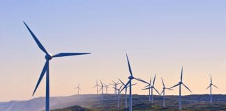 LGA: OVER A MILLION NEW GREEN JOBS COULD BE CREATED BY 2050 green Jobs