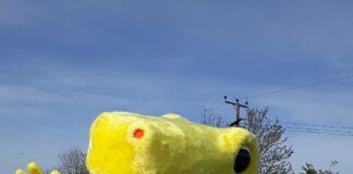 Talk PANTS Wales Pantosaurus.