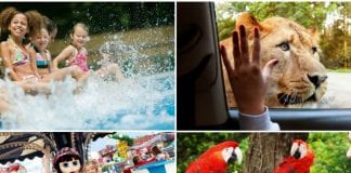 15 School Holiday Attractions to Beat the Boredom days out fb