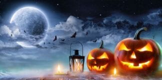 Revealed: The UK’s best spooky road trips for Halloween Halloween 2