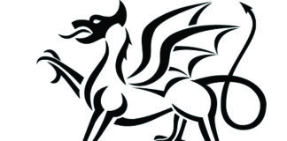 Hundreds of Swansea businesses apply for recovery funding WG positive 40mm