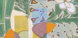 St Davids Peninsula provides inspiration for Carmarthenshire artist img 9730