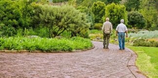 LGA RESPONDS TO INDEPENDENT AGE REPORT ON PENSION CREDIT TAKE-UP old friends 555527 1280