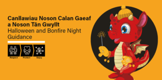 Calan Gaeaf a Noson Tân Gwyllt 2020 8bd1ea0cbf03455c911a63240edbb66b
