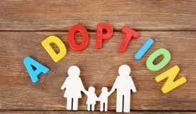 Adoption UK responds to Gavin Williamson’s comments on adoption Adopt