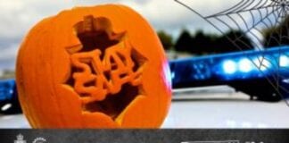 Operation Bang Halloween & Bonfire night 2020 C20 0135 Pumpkins social media English 300x169 1