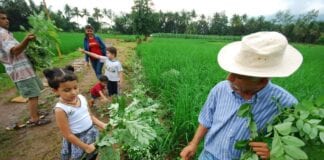 Agriculture’s role in unravelling the ‘Paradox of Plenty’ Chandrashekhar Bhadsavle