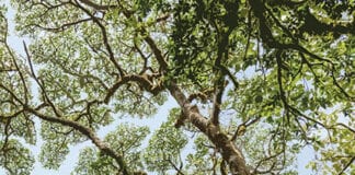 LANSIO LLYFR NEWYDD I DDATHLU’R GEFNOGAETH GYNYDDOL I’R ATHRONIAETH CYTGORD AC I FYW MEWN CYTGORD AR ÔL COVID Harmony Debates FRONT COVER