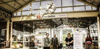 Artistiaid, radio ysbyty a mentrau cyflogaeth â wyneb newydd Rheilffyrdd Cymunedol yng Nghymru TFWCommunityRailOfficerPhotoshoot2020.09.14 1 scaled