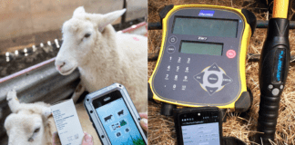 Yn galw ffermwyr llaeth, bîff, defaid a geifr … rhowch eich papur a’ch pensil i’r naill ochr a chadwch eich holl gofnodion rheoli ar-lein! WLBP a EIDCymru