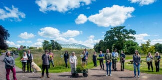 Create a special spring haven for pollinators all 2020 07 21 NBGW pollinators 9115 scaled