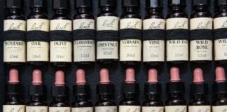 The Health Guru – Lockdown alt healing