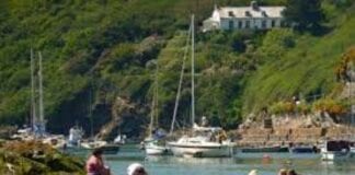 Council launches online engagement portal Solva paddling download 17