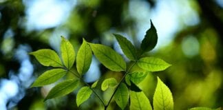 Making New & Healthy Changes environment