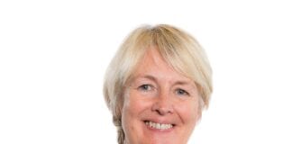 Virtual catch ups between schools and Estyn should be “temporarily scrapped” says Plaid Cymru img 0070