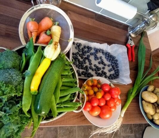 My Lockdown Life lockdown life