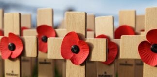 Welsh Government Remembrance advice picvieworiginal 6