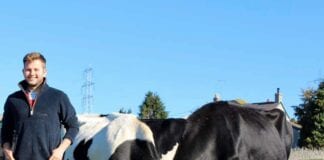 Pori padogau yn helpu fferm laeth i gynhyrchu bron i ddwy ran o dair o’i llaeth o borthiant Aled Potts 1