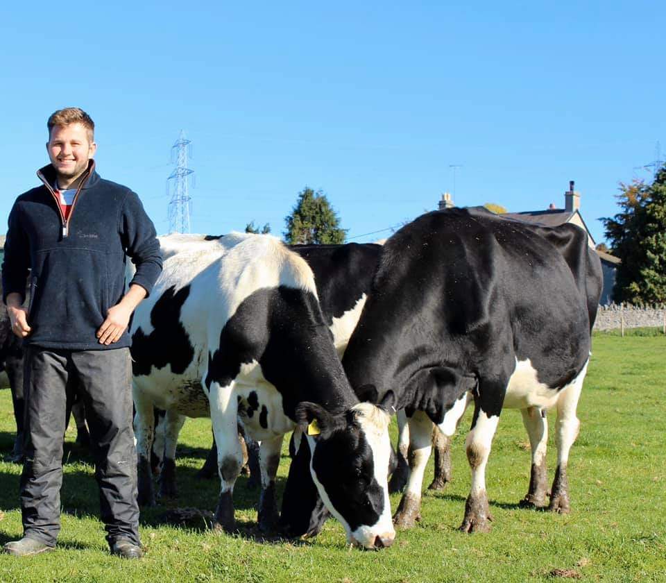 Paddock grazing helping dairy farm capture nearly two thirds of milk